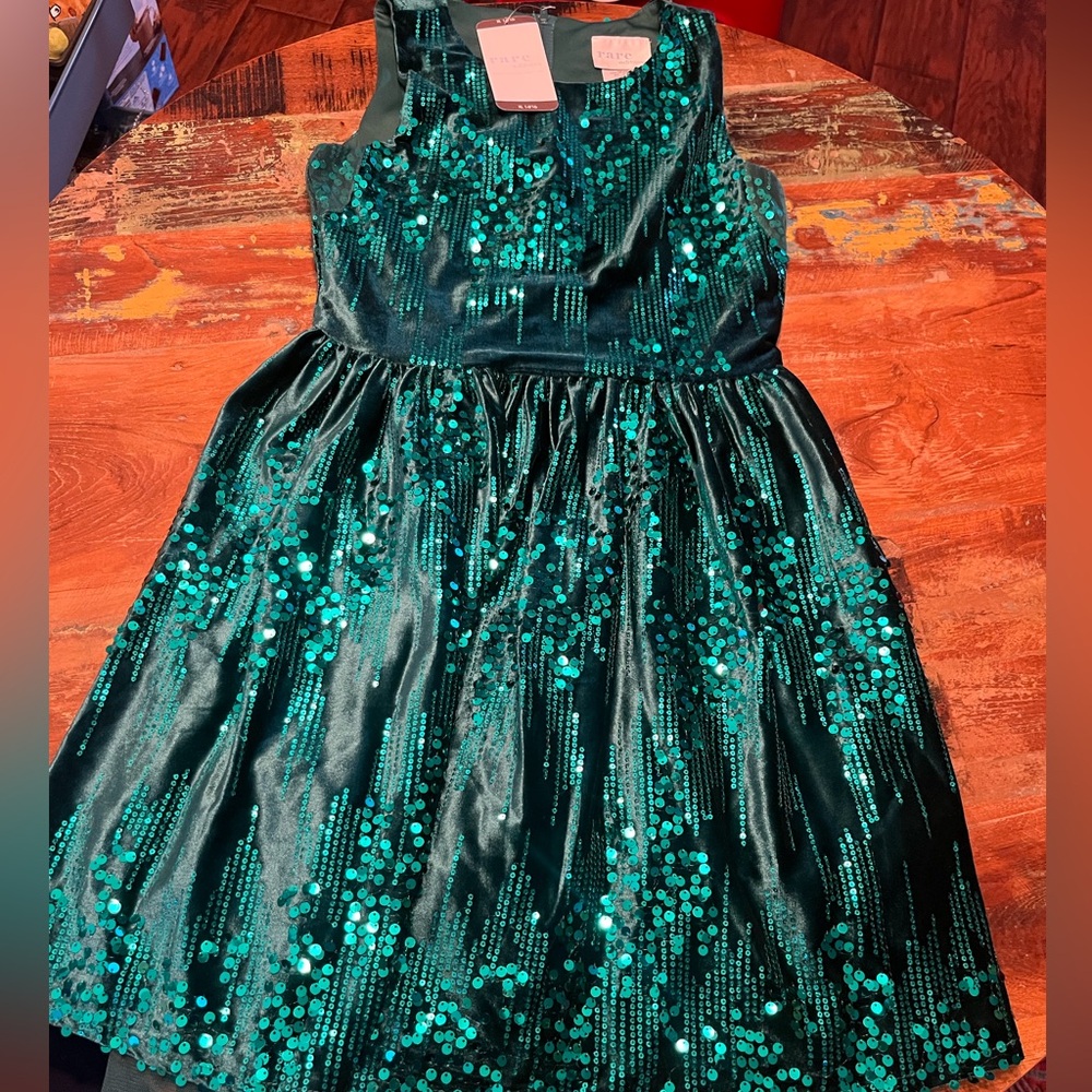 NWT Rare Editions Holiday Dress